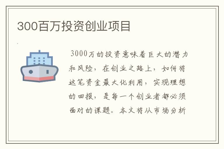 300百万投资创业项目