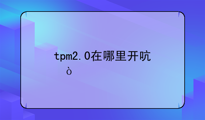 tpm2.0在哪里开启？