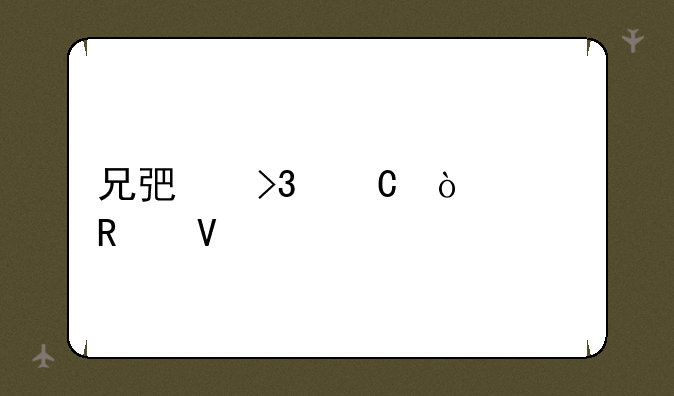 兄弟双子传说攻略