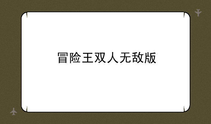 冒险王双人无敌版