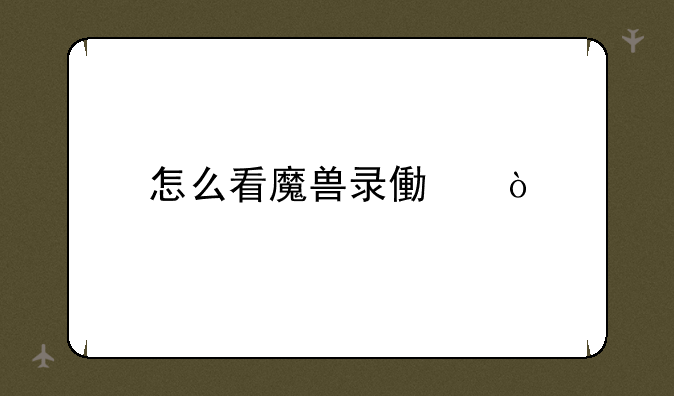 怎么看魔兽录像？