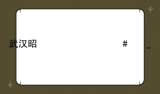 武汉是鄂什么字母