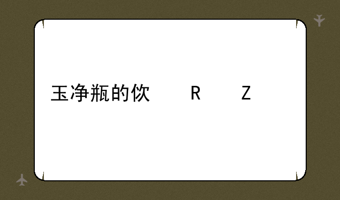 玉净瓶的使用方法