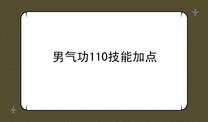 男气功110技能加点