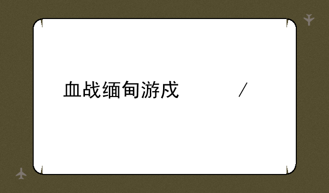 血战缅甸游戏下载