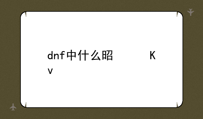 dnf中什么是归来