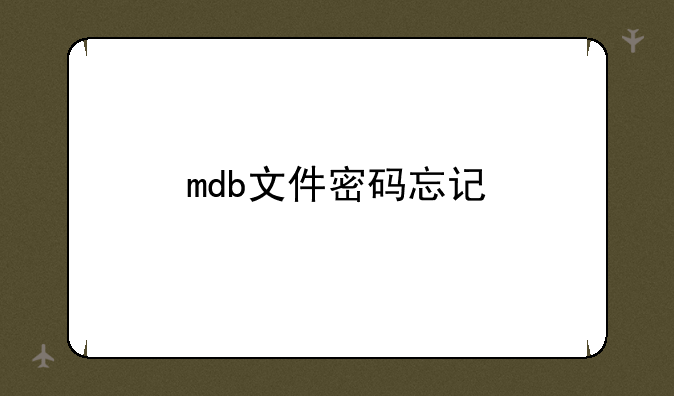 mdb文件密码忘记