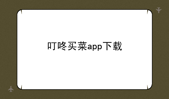 叮咚买菜app下载
