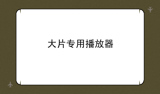 大片专用播放器