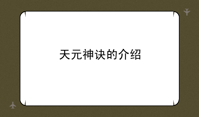 天元神诀的介绍