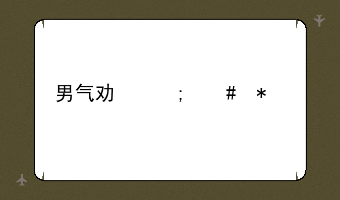 男气功怎么加点