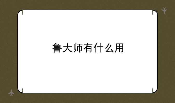 鲁大师有什么用