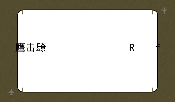 鹰击长空修改器