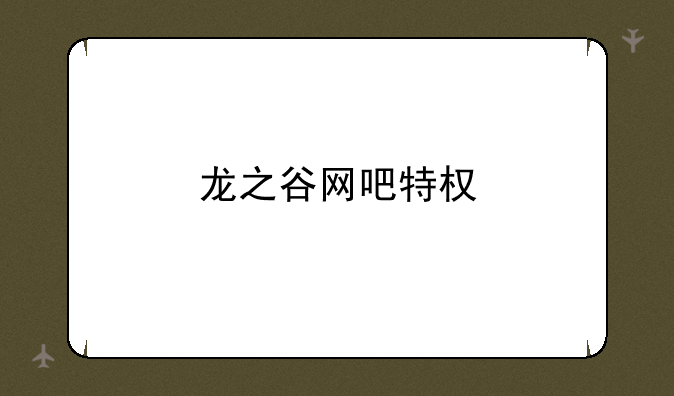 龙之谷网吧特权