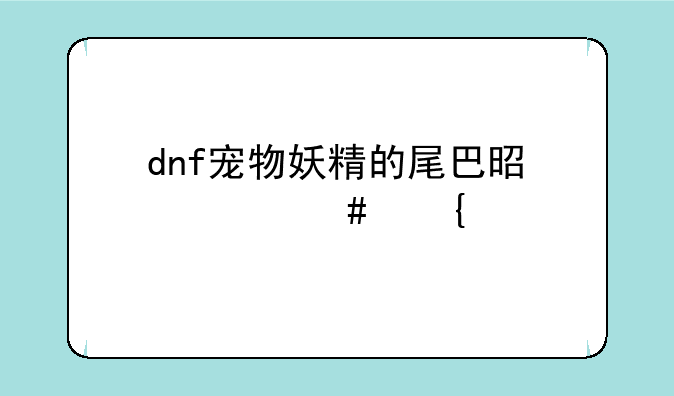 dnf宠物妖精的尾巴是什么属性