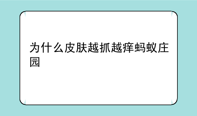 为什么皮肤越抓越痒蚂蚁庄园