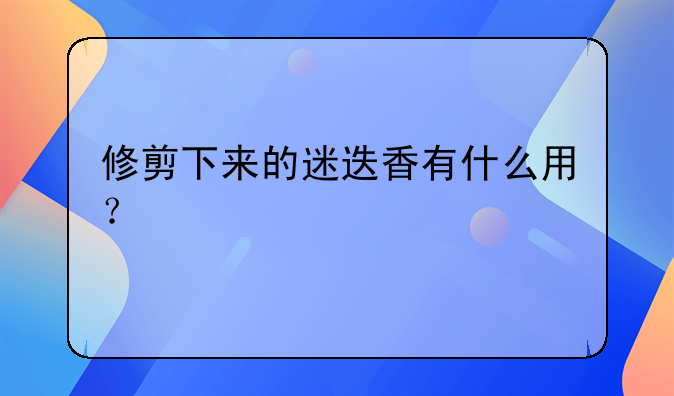 修剪下来的迷迭香有什么用？