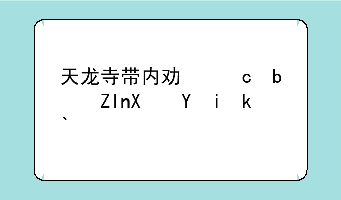 天龙寺带内功还是外功武魂？
