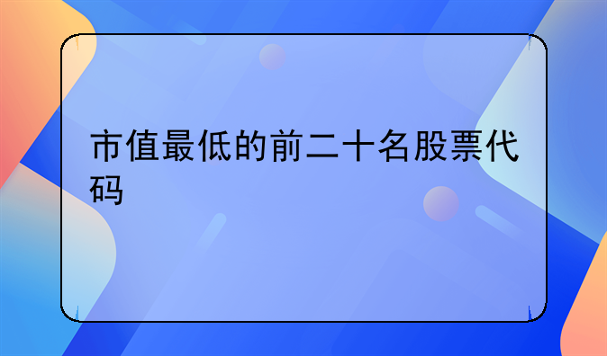 市值最低的前二十名股票代码