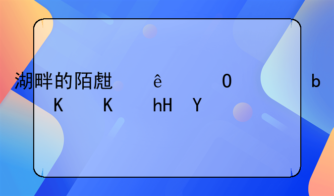 湖畔的陌生人结局是什么意思