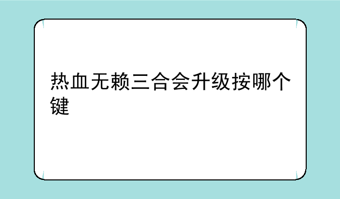 热血无赖三合会升级按哪个键