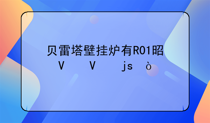 贝雷塔壁挂炉有R01是啥故障？