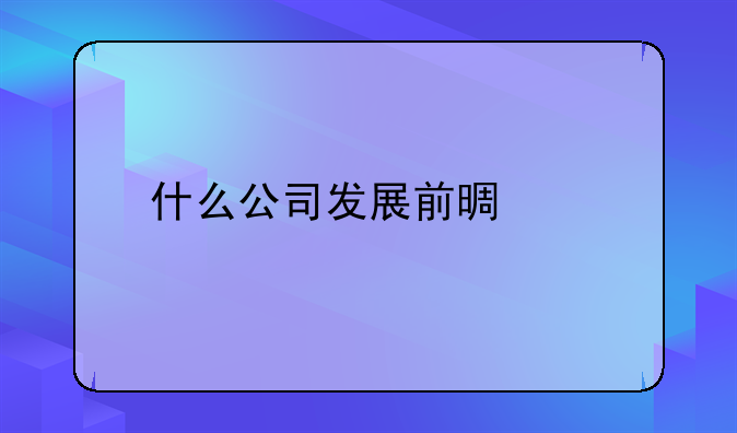 什么公司发展前景好