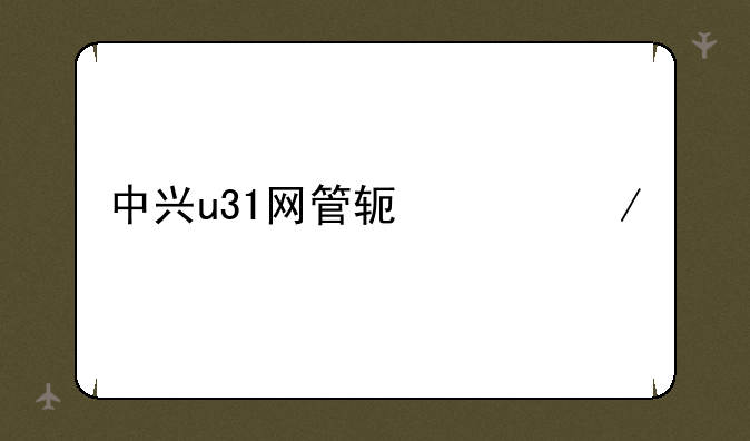 中兴u31网管软件下载