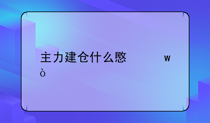 主力建仓什么意思？