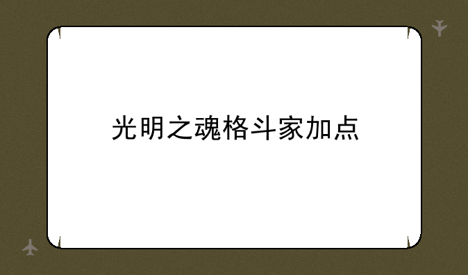 光明之魂格斗家加点