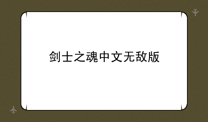 剑士之魂中文无敌版