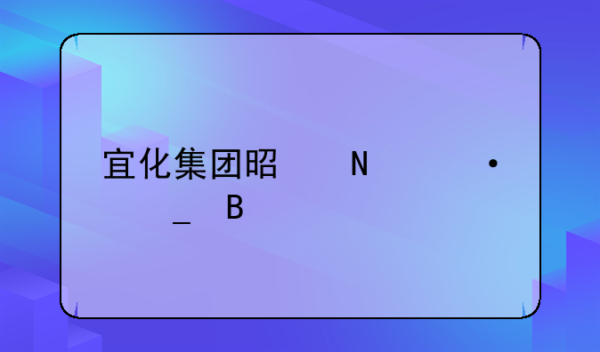 宜化集团是铁饭碗吗