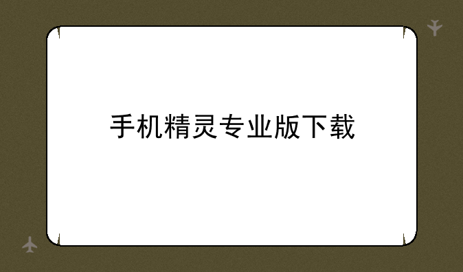 手机精灵专业版下载