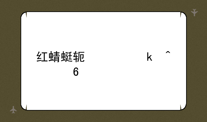 红蜻蜓软件定时补捉
