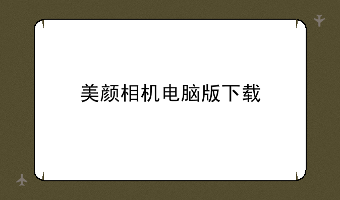 美颜相机电脑版下载