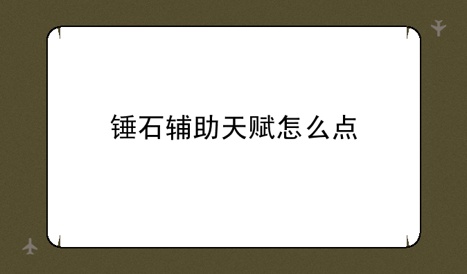 锤石辅助天赋怎么点