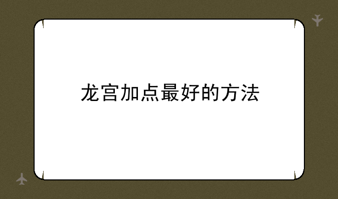 龙宫加点最好的方法