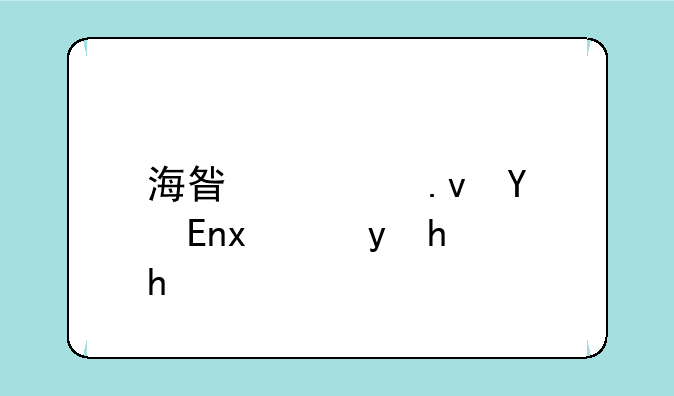 海星模拟器TV版金手指