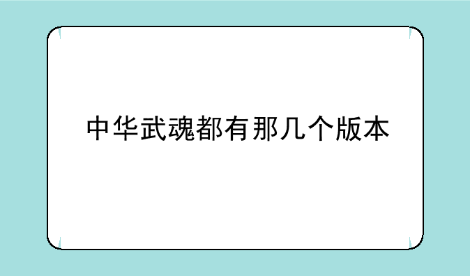中华武魂都有那几个版本