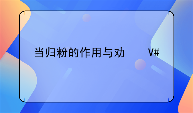 当归粉的作用与功效禁忌