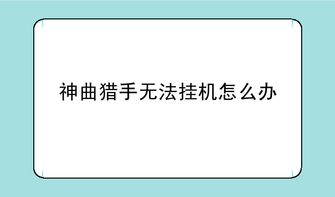 神曲猎手无法挂机怎么办