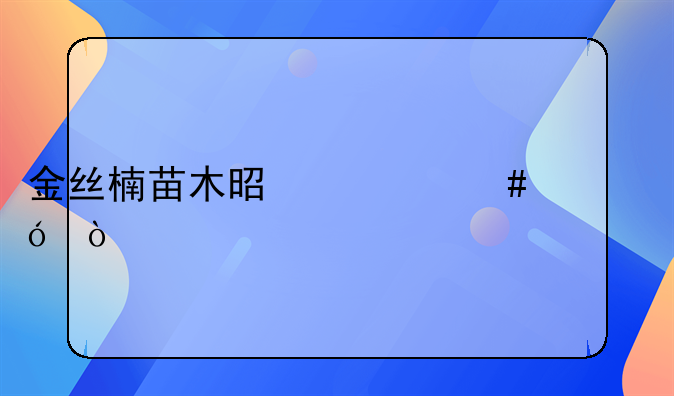 金丝楠苗木是什么价格？