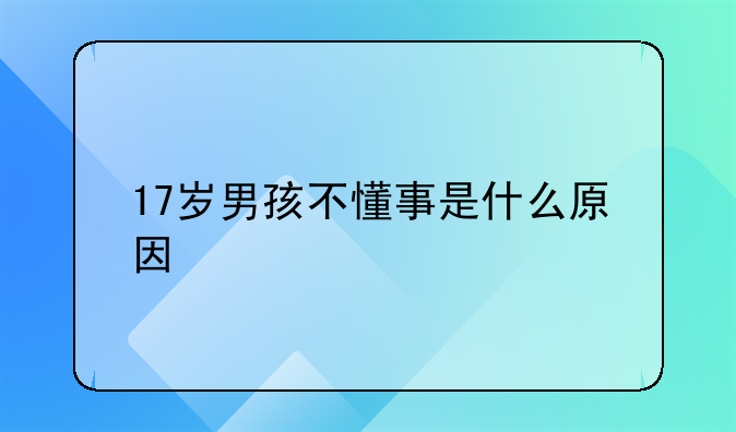 17岁男孩不懂事是什么原因