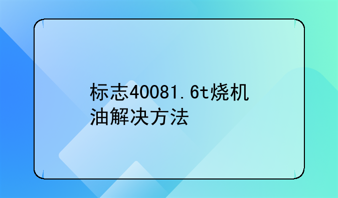 标志40081.6t烧机油解决方法