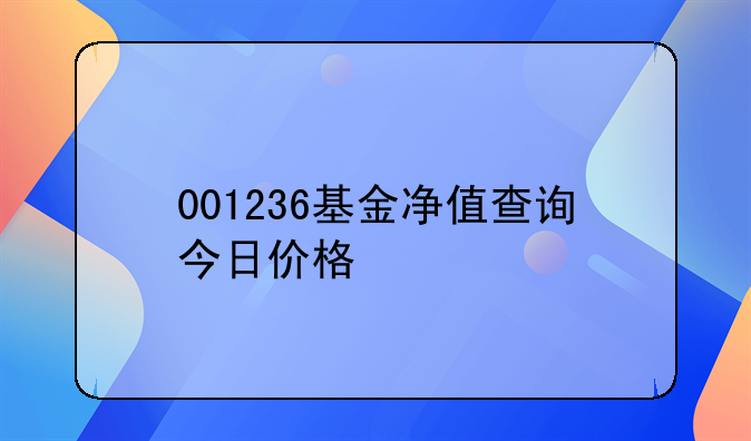 001236基金净值查询今日价格