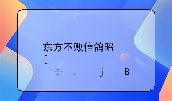 东方不败信鸽是肖泽勤的吗