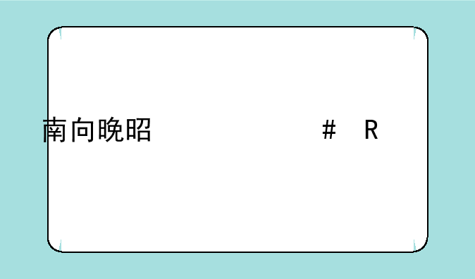 南向晚是什么电视剧里面的