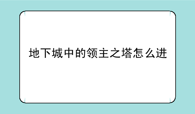 地下城中的领主之塔怎么进