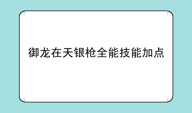御龙在天银枪全能技能加点