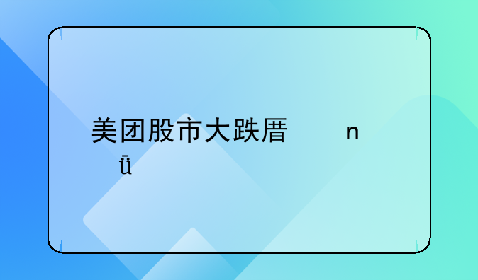 美团股市大跌原因深度剖析